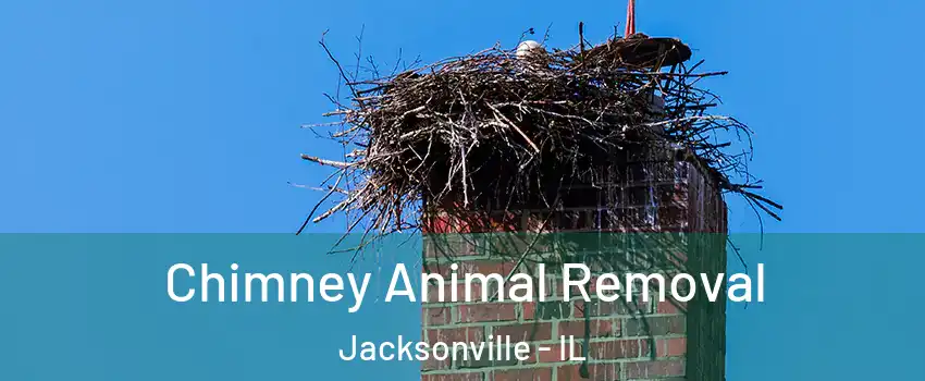  Chimney Animal Removal Jacksonville - IL