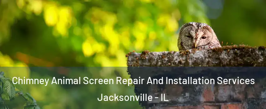  Chimney Animal Screen Repair And Installation Services Jacksonville - IL