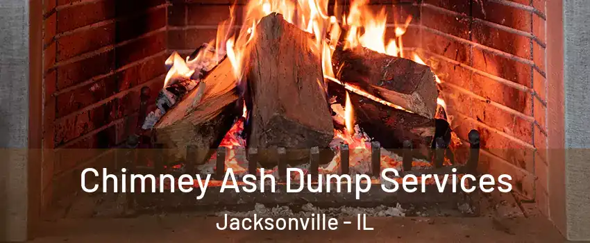  Chimney Ash Dump Services Jacksonville - IL