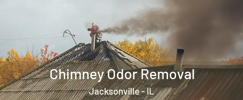  Chimney Odor Removal Jacksonville - IL