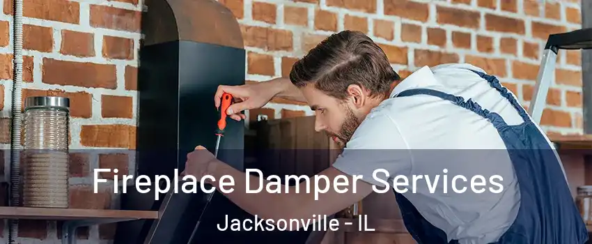  Fireplace Damper Services Jacksonville - IL