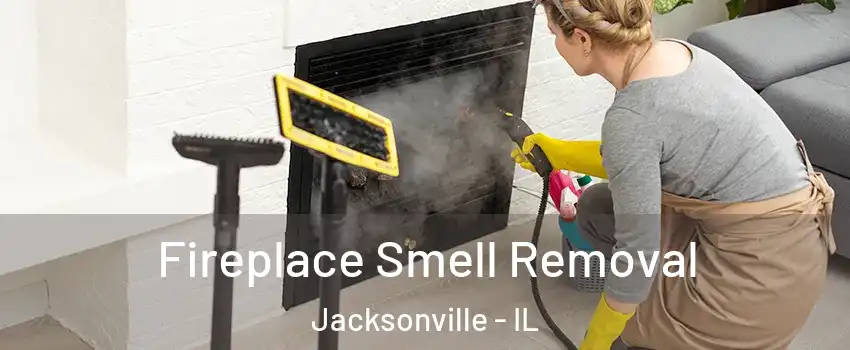  Fireplace Smell Removal Jacksonville - IL