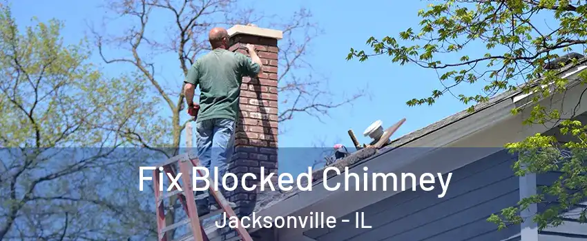  Fix Blocked Chimney Jacksonville - IL