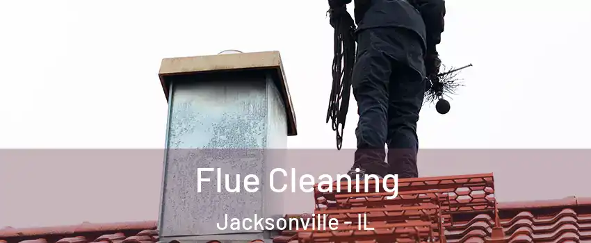  Flue Cleaning Jacksonville - IL