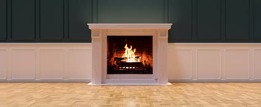 Napoleon Electric Fireplaces Inspection Service in Jacksonville, Illinois
