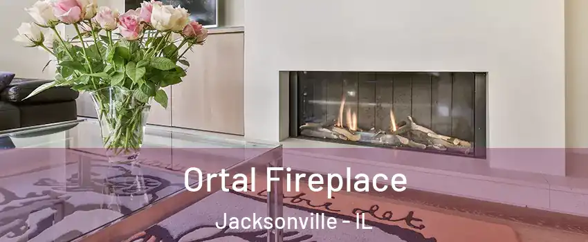 Ortal Fireplace Jacksonville - IL